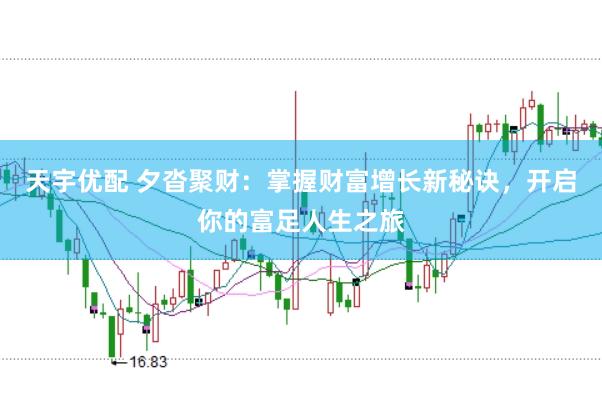 天宇优配 夕沓聚财：掌握财富增长新秘诀，开启你的富足人生之旅