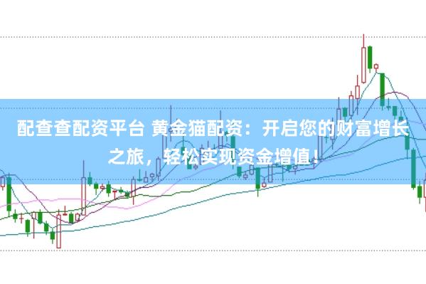 配查查配资平台 黄金猫配资：开启您的财富增长之旅，轻松实现资金增值！