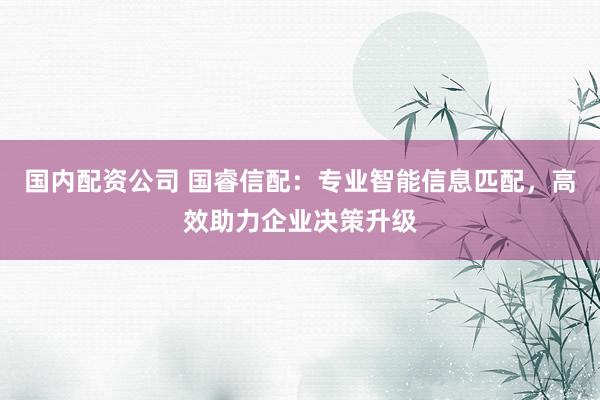 国内配资公司 国睿信配：专业智能信息匹配，高效助力企业决策升级
