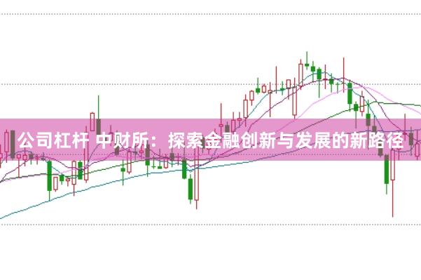 公司杠杆 中财所：探索金融创新与发展的新路径