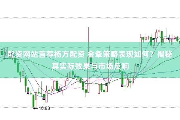 配资网站首荐杨方配资 金夆策略表现如何？揭秘其实际效果与市场反响