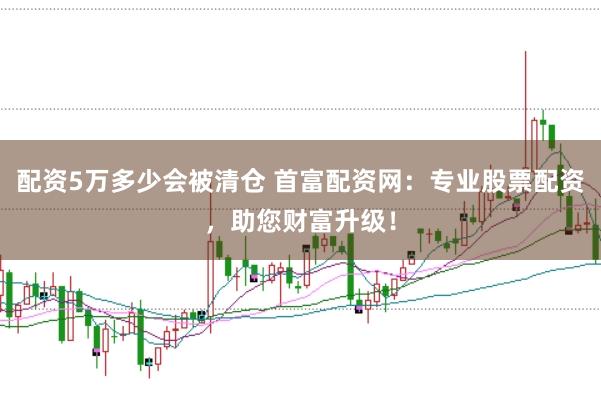 配资5万多少会被清仓 首富配资网：专业股票配资，助您财富升级！