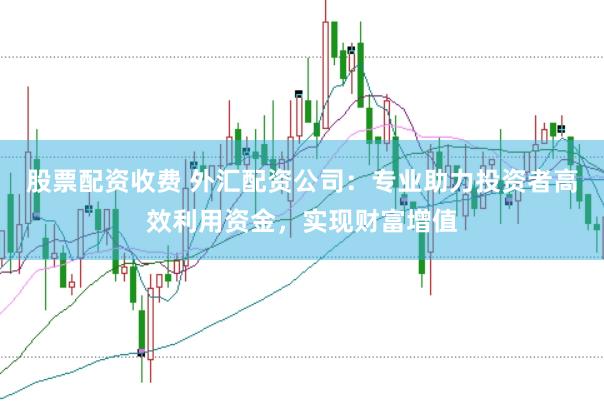 股票配资收费 外汇配资公司：专业助力投资者高效利用资金，实现财富增值