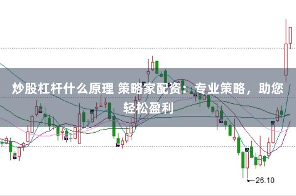 炒股杠杆什么原理 策略家配资：专业策略，助您轻松盈利