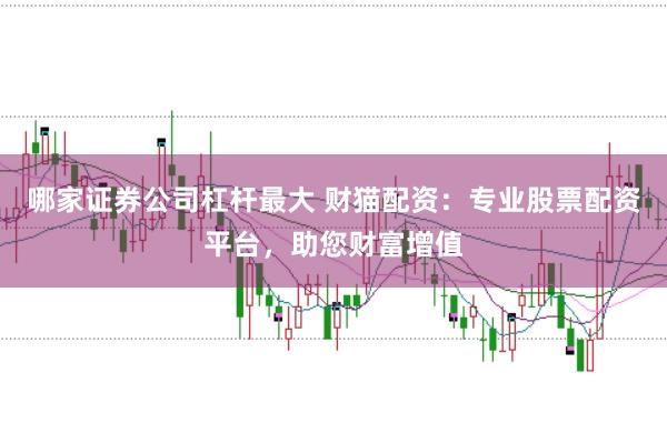 哪家证券公司杠杆最大 财猫配资：专业股票配资平台，助您财富增值