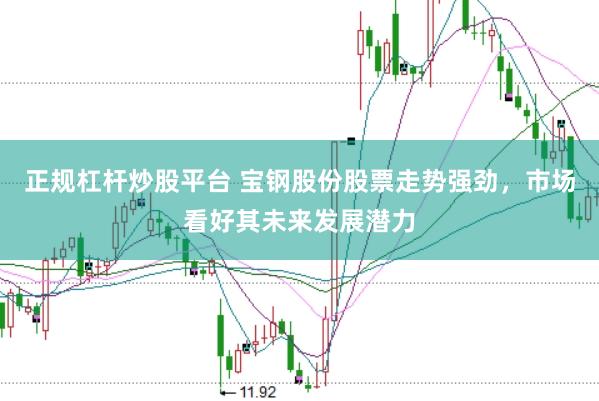 正规杠杆炒股平台 宝钢股份股票走势强劲，市场看好其未来发展潜力