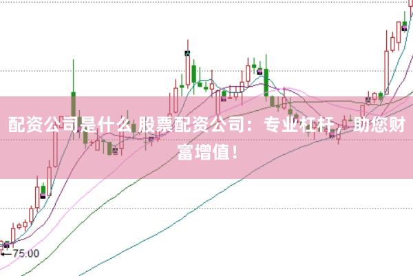 配资公司是什么 股票配资公司:专业杠杆,助您财富增值!