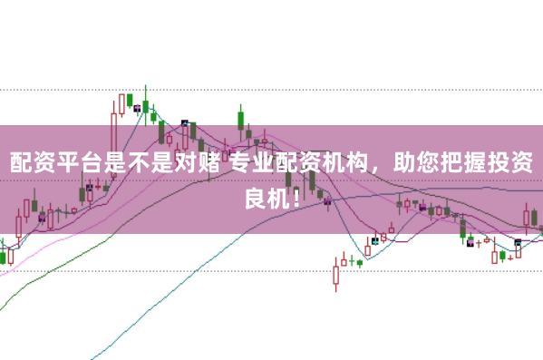 配资平台是不是对赌 专业配资机构，助您把握投资良机！