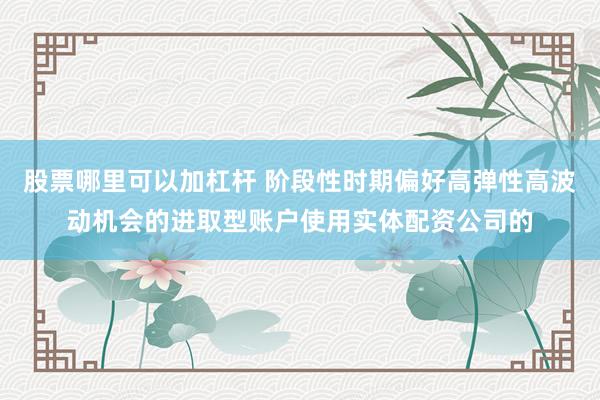 股票哪里可以加杠杆 阶段性时期偏好高弹性高波动机会的进取型账户使用实体配资公司的