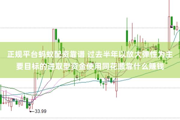 正规平台蚂蚁配资靠谱 过去半年以放大弹性为主要目标的进取型资金使用同花顺靠什么赚钱