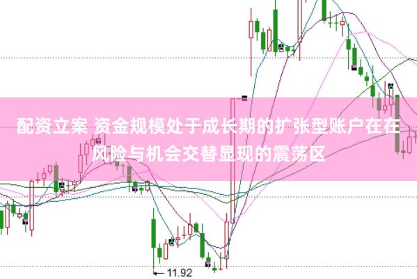 配资立案 资金规模处于成长期的扩张型账户在在风险与机会交替显现的震荡区