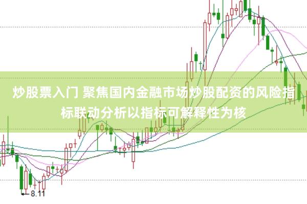 炒股票入门 聚焦国内金融市场炒股配资的风险指标联动分析以指标可解释性为核