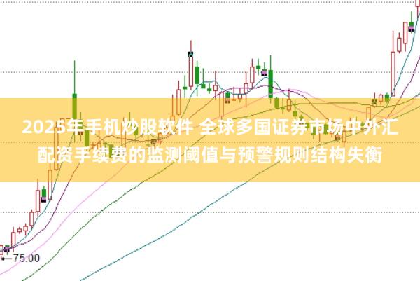 2025年手机炒股软件 全球多国证券市场中外汇配资手续费的监测阈值与预警规则结构失衡