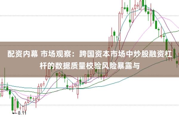 配资内幕 市场观察：跨国资本市场中炒股融资杠杆的数据质量校验风险暴露与