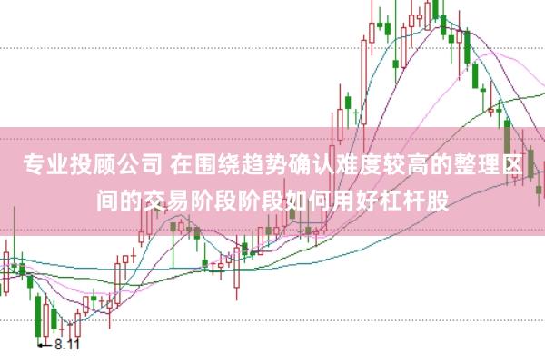 专业投顾公司 在围绕趋势确认难度较高的整理区间的交易阶段阶段如何用好杠杆股