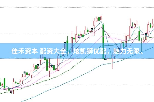 佳禾资本 配资大全，炫凯狮优配，魅力无限。