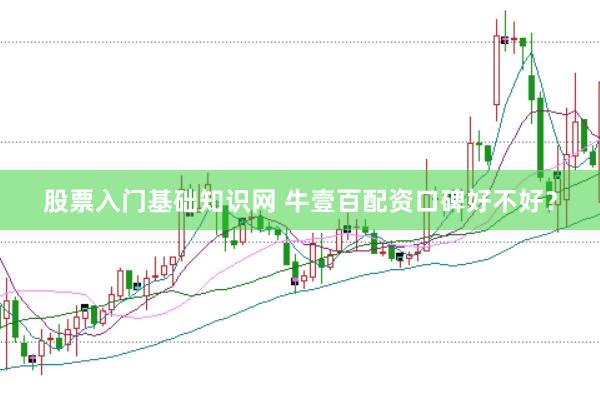 股票入门基础知识网 牛壹百配资口碑好不好？