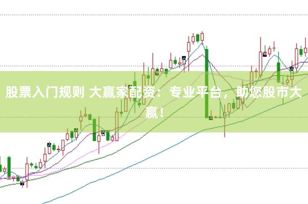 股票入门规则 大赢家配资:专业平台,助您股市大赢!